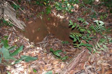 Guyane-montagne-couronnee2.jpg