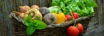 vegetables.jpg vegetables.jpg