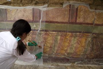 La Verrerie (Arles) - Préparation par les restaurateurs du MDDA à la dépose de la paroi peinte découverte en 2014