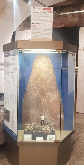 Expo Nîmes
