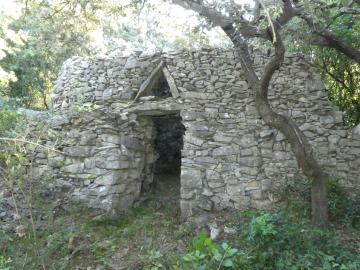 vitrine_actualite_garrigue_111.jpg
