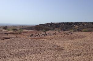 Le désert du Gobaad dans l'Afar djiboutien Le désert du Gobaad dans l'Afar djiboutien