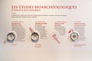 Musée Al 2