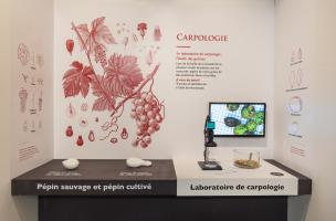 Musée Al 3