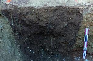 Rivesaltes 9