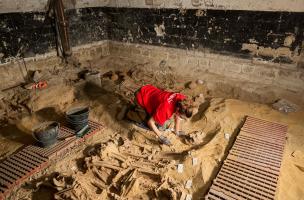 Fouille de la grande fosse commune (salle 2) qui comprend plus de 150 individus.