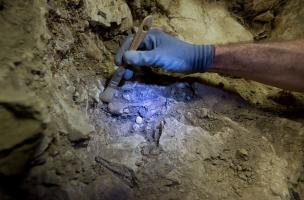 Il y a 35 000 ans, les Aurignaciens, premiers hommes modernes à occuper  la grotte du Mas d'Azil