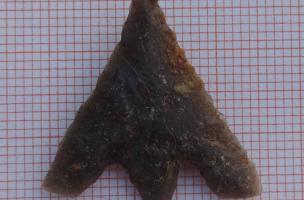 Il y a 4 500 ans, de grands bâtiments à Saint-André-sur-Orne près de Caen Il y a 4 500 ans, de grands bâtiments à Saint-André-sur-Orne près de Caen