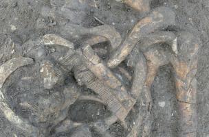 La Flotte 13