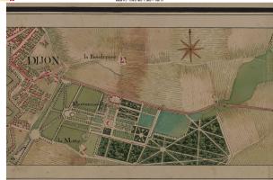 Dijon Montmuzard 14