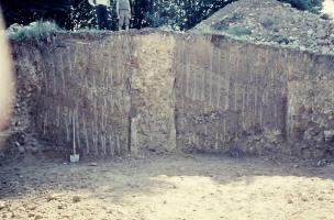 Castelvieilh 1
