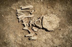 Autun 24