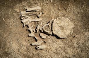 Autun 24