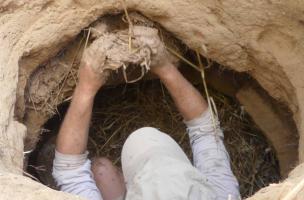 Ensilage 3