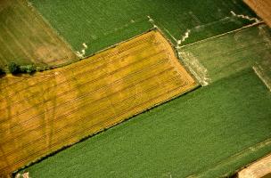 Moissons du ciel 20