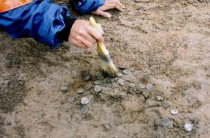 Carvin, du Néolithique à l'Antiquité