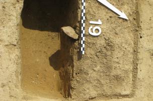 Site 8-2