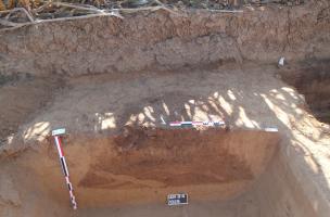 Site 8.4
