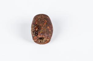 Gross Eichholz