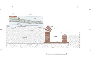 Coupe stratigraphique sud-nord du decumanus