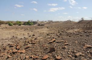 Turkana 6