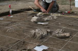  la découverte de tombes-bûchers au profil inédit en Languedoc-Roussillon