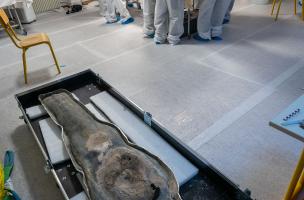 ND Paris sarcophages 6