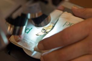 11- Le mobilier de Lavau au C2RMF