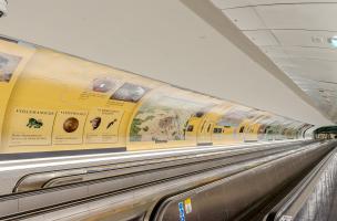 Fresque Montparnasse 2023