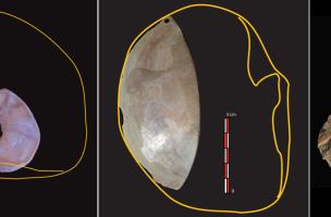 Ebauche d’hameçon en nacre, grande parure en feuille de laurier et Armature de projectile dans une dent de requin