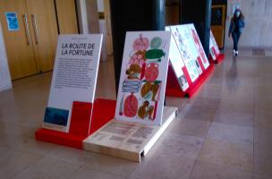 Saint-Nazaire 5
