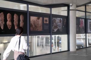 Gares & Connexions 10