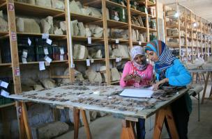 Initiation à la céramologie (Saqqâra)