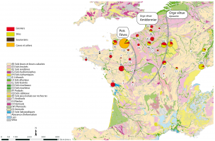  carte pédologique et indices carpologiques