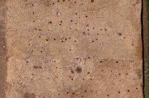 Orgelet 5