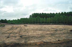 4- La Saulsotte, 2008 4- La Saulsotte, 2008