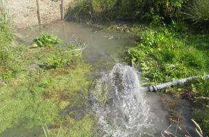 Zone de rejet avant filtration (Rue, Somme) Zone de rejet avant filtration (Rue, Somme)