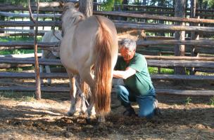 Éleveur de chevaux (Iakoutie)