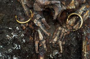 Détail des poignets d'un squelette retrouvé dans un complexe funéraire monumental exceptionnel, daté du Ve siècle avant notre ère, à Lavau (Aube) en 2015. Autour de chaque poignet repose un bracelet en or. 