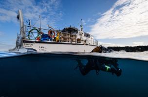 Le Triton, navire du Ministère de la Culture (Drassm), vient de déposer une palanquée au droit de l'emprise du diagnostic dans l'anse Sainte-Anne, au nord de l'île Sainte-Marguerite.