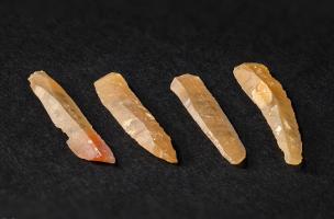 Microlamelles retouchées du Magdalénien, mises au jour sur le site de Bellegarde (Gard) en 2016. Plus 100 000 silex (Nucléus, microlamelles, grattoirs) datant du Magdalénien ont été découverts sur ce site.