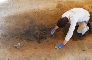 Dégagement d'un lot d'objets ferreux en rejet dans le fossé du sanctuaire gallo-romain de La Chapelle-des-Fougeretz (Ille-et-Vilaine), avant leur prélèvement. 
