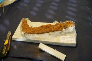 Préparation du conditionnement d'une serpe, mise au jour sur le site gallo-romain de La Chapelle-des-Fougeretz (Ille-et-Vilaine) avant son départ en laboratoire pour stabilisation.