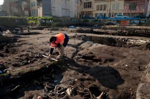 Dégagement de carcasses d’équidés (principalement des ânes) à l’intérieur du fossé du XIIe s., fouille du site de l'Hôtel du Département à Troyes (Aube), 2010. 