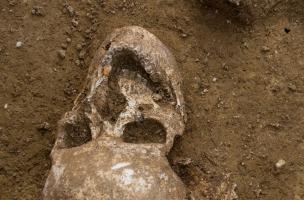 Crâne d'un individu inhumé dans la nécropole guerrière de Buchères (Aube), et fibule à décor de corail, IVe&nbsp;s. avant notre ère, 2013.