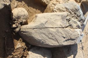 Massongy, la stèle gravée de signalisation de la sépulture s’est effondrée sur le squelette
