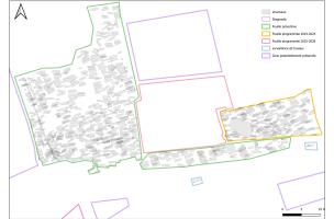 Plan général des vestiges mettant en évidence les différentes phases d’interventions archéologiques (Nécropole des Mastraits) Plan général des vestiges mettant en évidence les différentes phases d’interventions archéologiques (Nécropole des Mastraits)