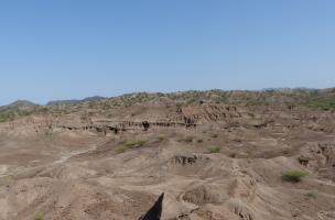 Turkana 21