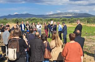 Rivesaltes 16