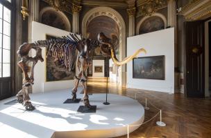 expo Somme 4